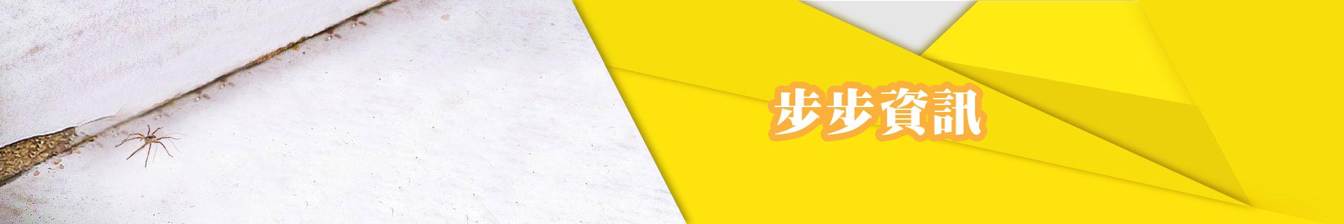 步步資訊