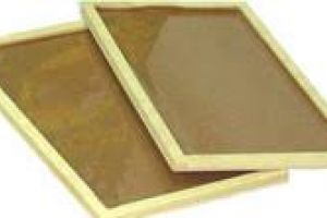 專業用黏鼠板(大)(小)